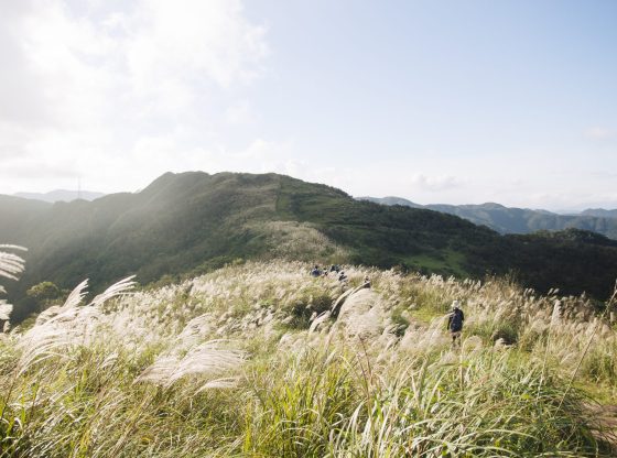 2019 新北景點包車旅遊│貢寮包車旅遊│貢寮包車推薦