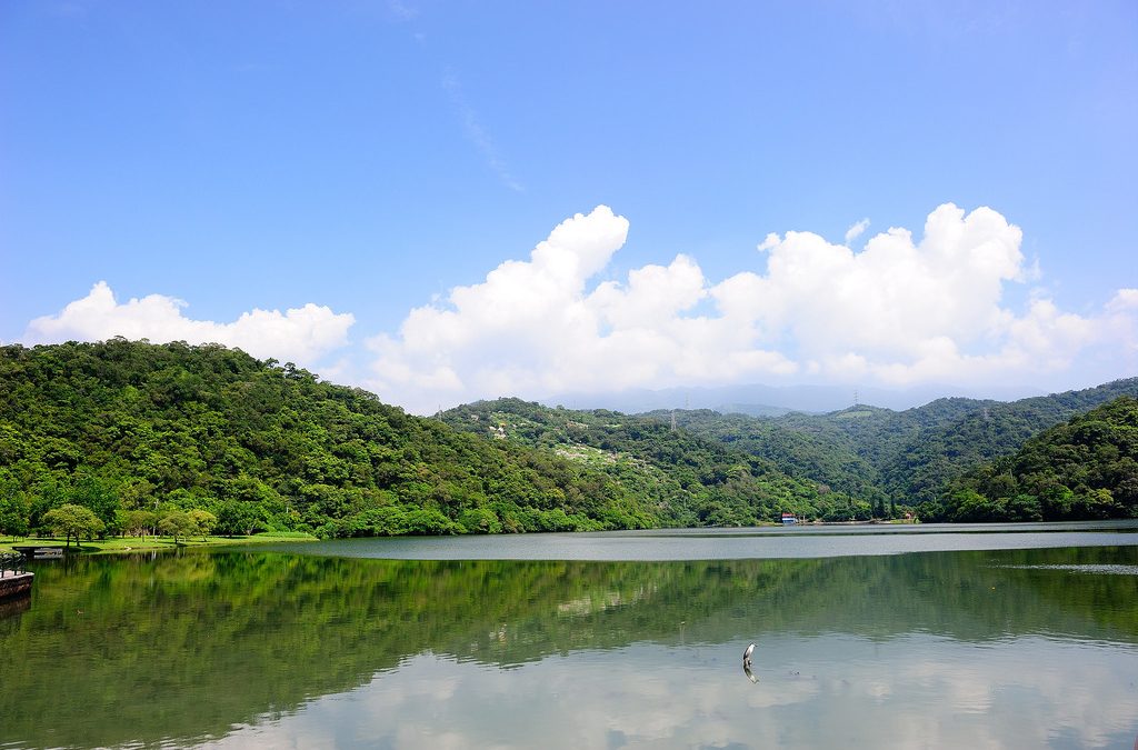 台灣環島包車旅遊│六天包車旅遊懶人包
