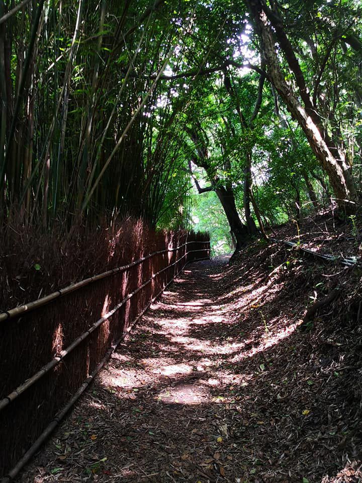 北投包車旅遊,北投包車旅遊推薦,北投包車旅遊景點,北投橫嶺古道包車旅遊,橫嶺古道包車景點,橫嶺古道包車一日遊