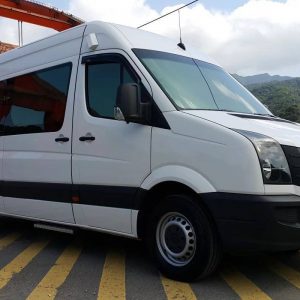 明星保母車,明星褓母車,11人褓母車,11人車款,豪華大T褓母車