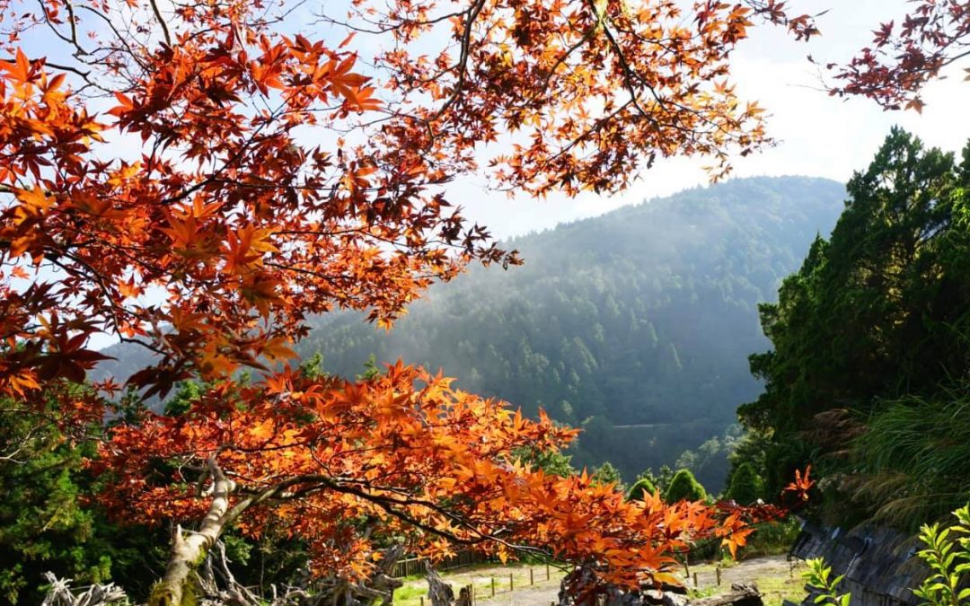 宜蘭旅遊包車”太平山包車旅遊”