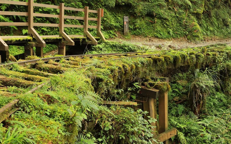 宜蘭包車,宜蘭包車旅遊,宜蘭旅遊包車,太平山包車,太平山包車旅遊,太平山景點,太平山國家公園,宜蘭太平山一日遊,宜蘭太平山介紹,