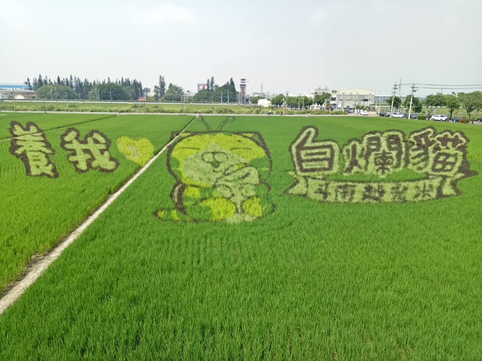 雲林包車,雲林包車旅遊,雲林包車一日遊,雲林包車景點,雲林包車行程推薦