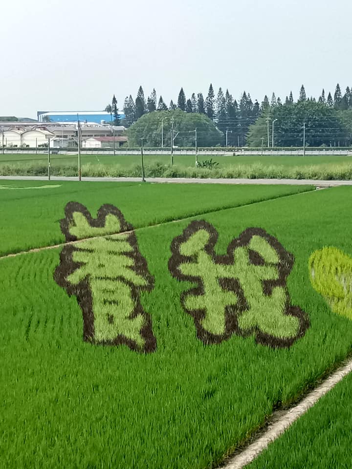 雲林包車,雲林包車旅遊,雲林包車一日遊,雲林包車景點,雲林包車行程推薦