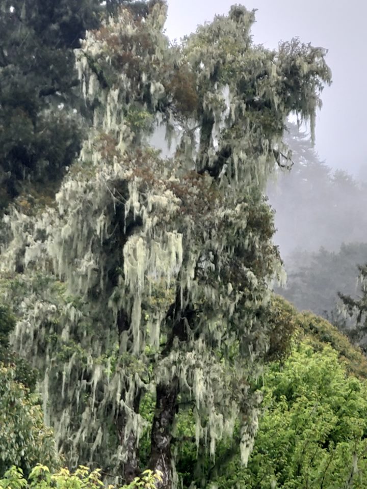 花蓮包車,花蓮包車旅遊,花蓮旅遊包車,花蓮包車一日遊,花蓮包車景點介紹,花蓮太魯閣包車,花蓮太魯閣包車旅遊,太魯閣包車旅遊,太魯閣包車