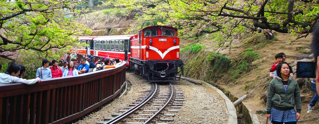 嘉義包車一日遊-嘉義最美風景都在這