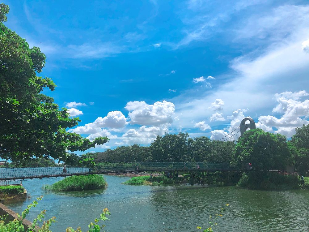 冬季時，梅花盛開時整個白色覆蓋山頭，如果運氣好還可看見遠方的雲瀑相伴，加上谷間翠綠如鏡面的曾文水庫，景緻有如人間仙境。 而到夏季，是螢火蟲的季節，此時的伍龍步道熱鬧非凡，會看見許多亮著紅光的手電筒在步道間游移著，許多遊客攜家帶眷，做好準備前來欣賞這季節限定的螢光點點