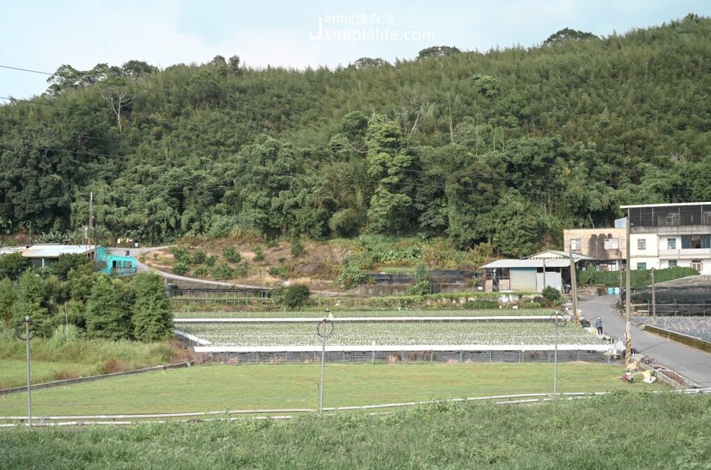 苗栗包車一日遊-綠草嵐山美景全在這