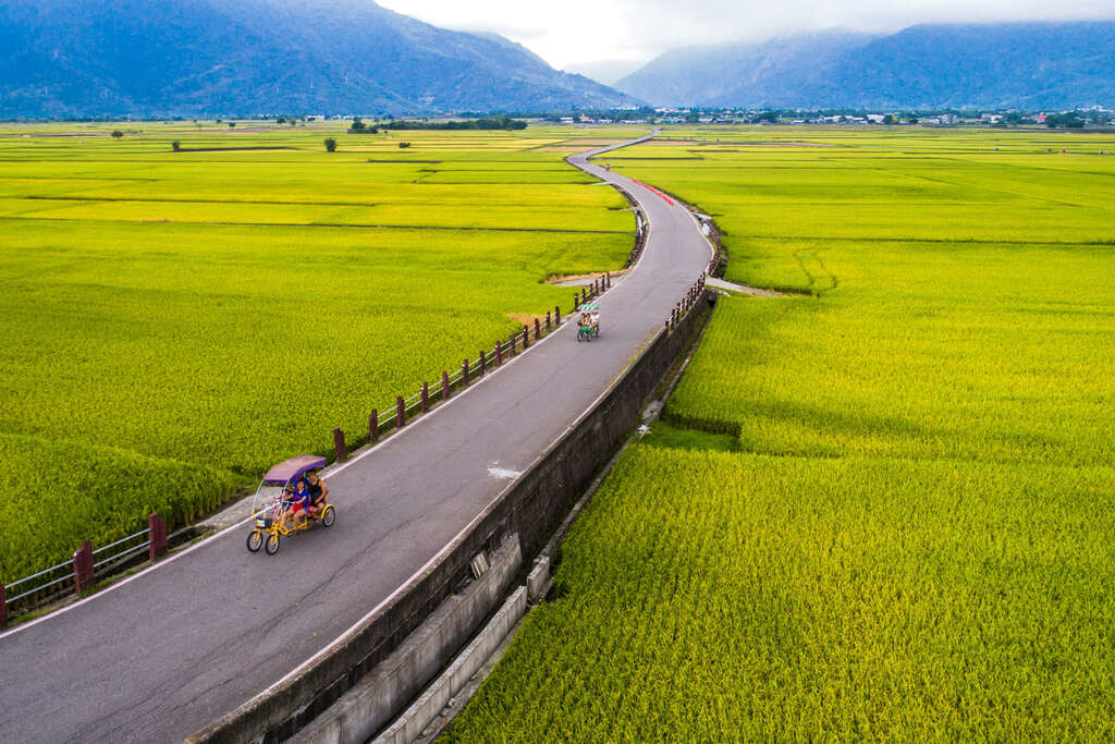 台東包車,台東九人座包車,台東包車旅遊,台東包車推薦,台東包車一日遊,初鹿牧場包車,伯朗大道包車景點,台東龍田自行車道包車旅遊,鹿野高台包車景點,紅葉少棒紀念館包車推薦,台東延平包車,七人座包車景點