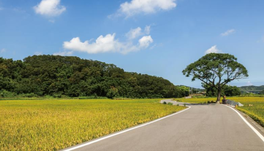 苗栗包車,苗栗九人座包車,苗栗包車旅遊,苗栗包車推薦,苗栗包車一日遊,荳媽媽休閒果園包車,陶蝶H包車景點,苗栗伯朗大道包車旅遊,大補內彈珠汽水觀光工廠包車景點,銅鑼茶廠包車推薦,苗栗西湖包車,七人座包車景點