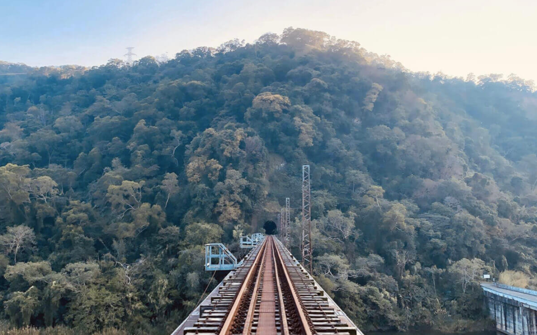 苗栗包車旅遊景點-走遍青翠山林探索樂趣