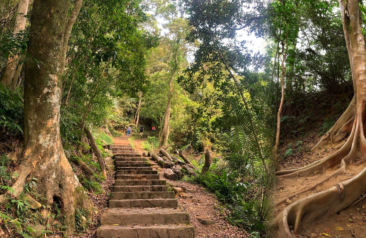 新竹包車旅遊景點-新年包你玩透透