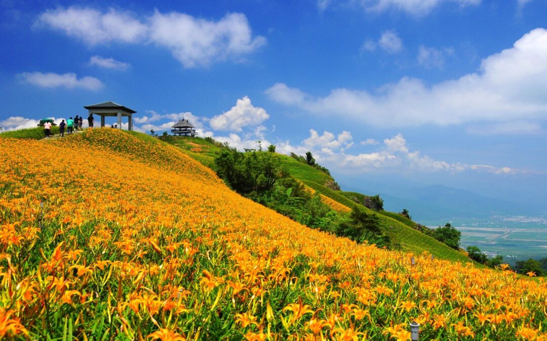 花蓮包車旅遊景點-伴隨浪潮陪你遊