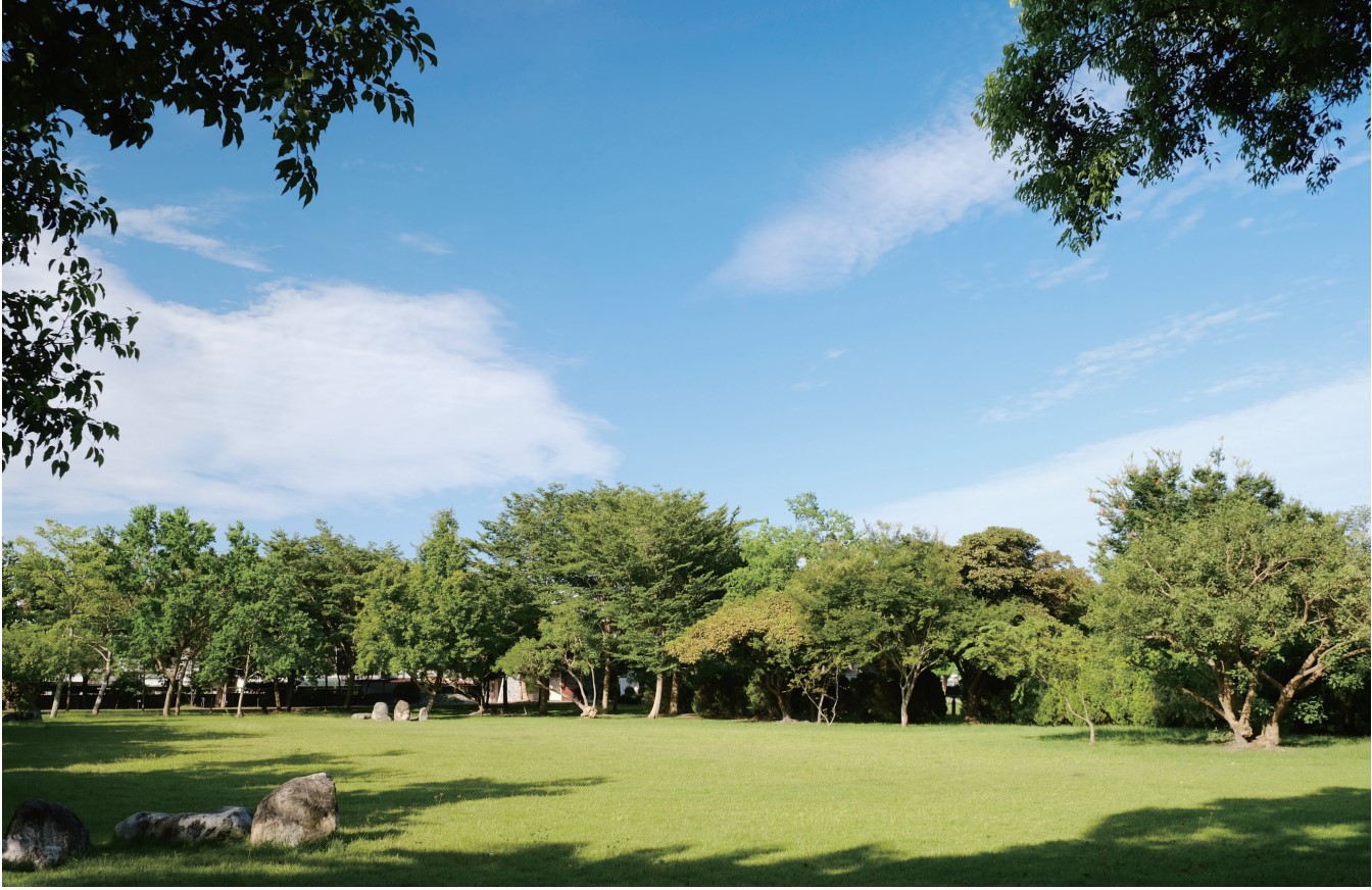 花蓮包車旅遊景點-伴隨浪潮陪你遊