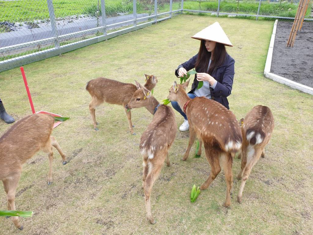 宜蘭包車一日遊-享受山林風光之旅-台灣遨遊包車旅遊、包車自由行