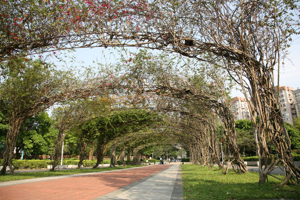 台北包車一日遊-帶你賞心悅目的好去處-台灣遨遊包車旅遊、包車自由行