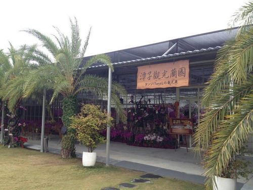 台中包車一日遊-帶你探尋綺麗風光之處