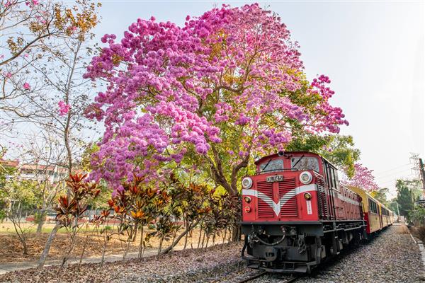 嘉義九人座包車旅遊-出遊趴趴走的好去處