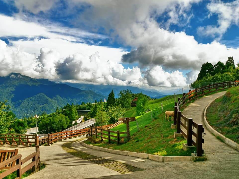 南投包車旅遊-清境農場