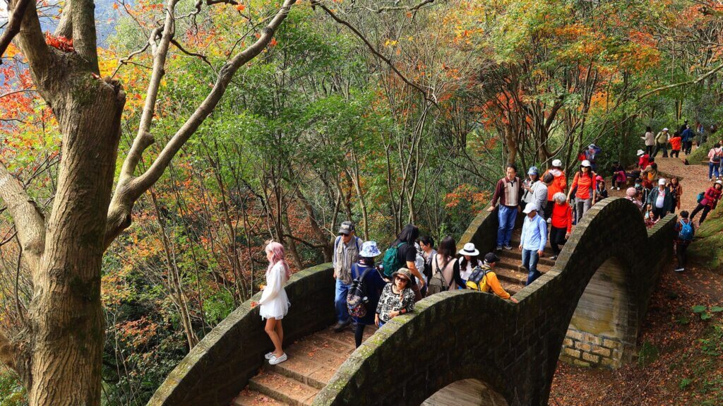 ,台北包車,包車旅遊,台北旅遊包車,包車,旅遊包車,台北自由行包車,台北客製化包車,台北一日遊包車,台北包車自由行,九份包車,野柳包車,陽明山包車,淡水包車,賞楓旅遊
