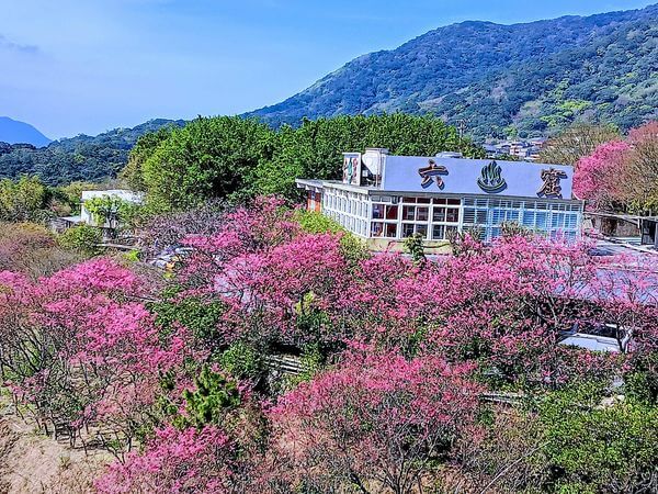 台北冬天溫泉包車之旅