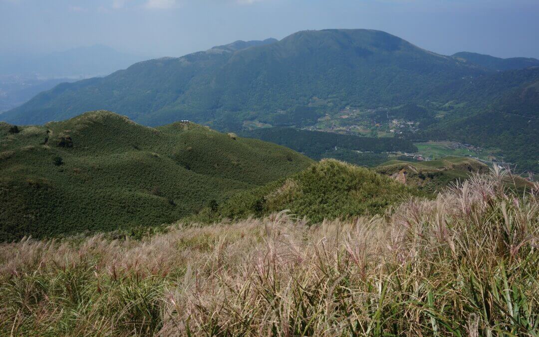 台北包車旅遊秋季賞芒花